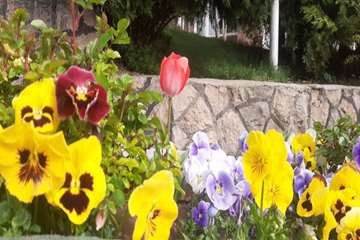 بهار دانشگاه 1399